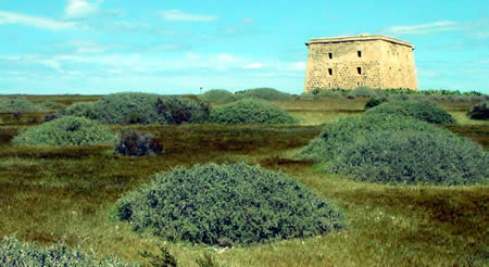 Isla Tabarca Festung und grÃ¼ner Teil der Insel
